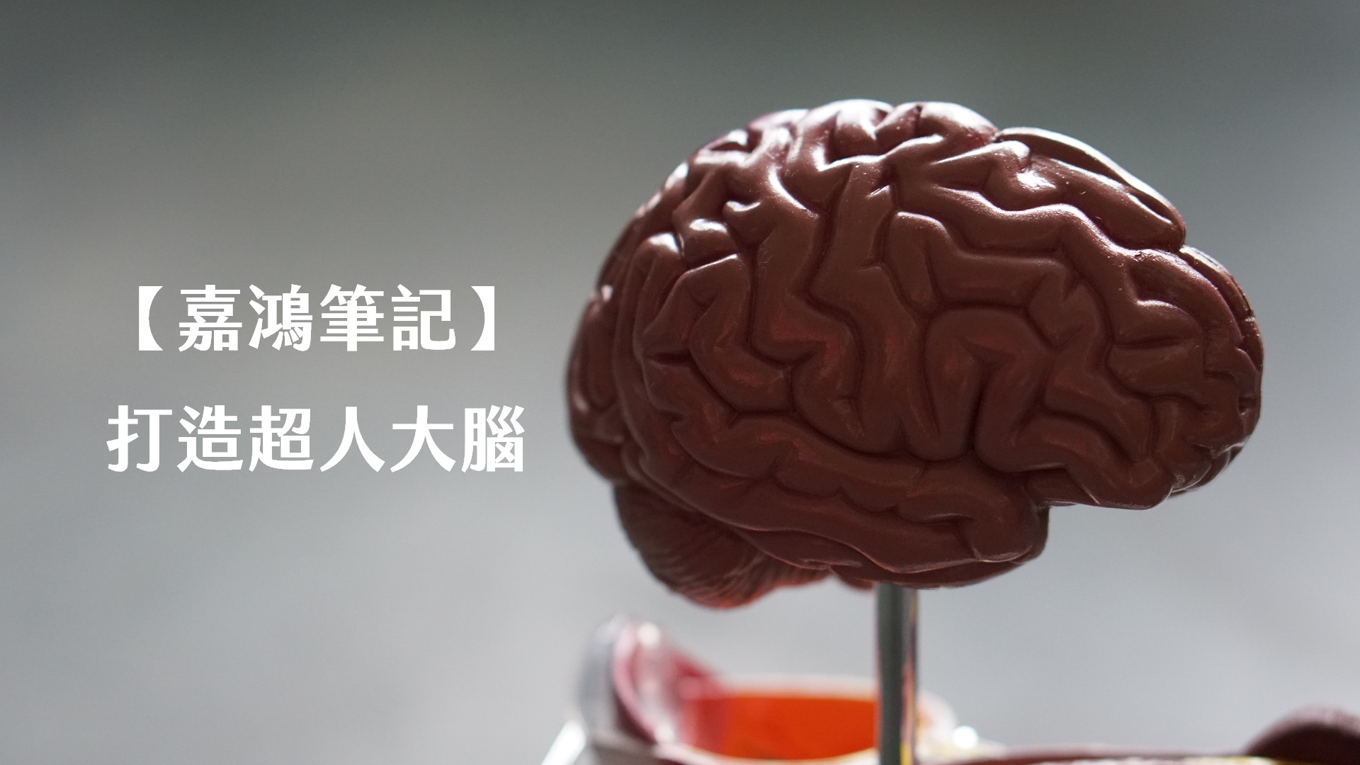 【嘉鴻筆記】打造超人大腦—極速閱讀、寫作、持續進化,新手高速成長的逆襲方程式 1 超人類大腦